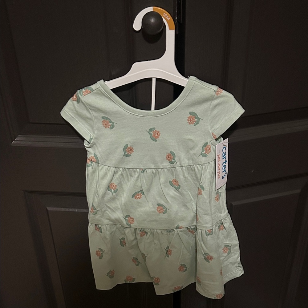 Carter's Light Green Dress with Floral Design